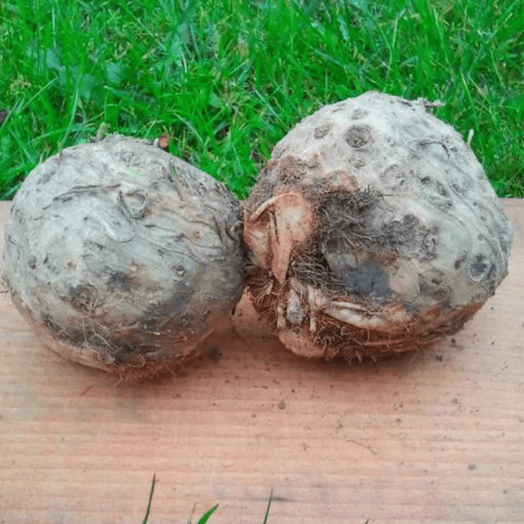 Seler 1 kg