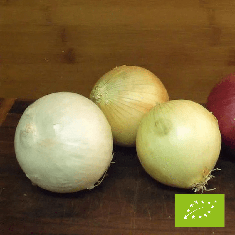 Cebulka EKO 500 g