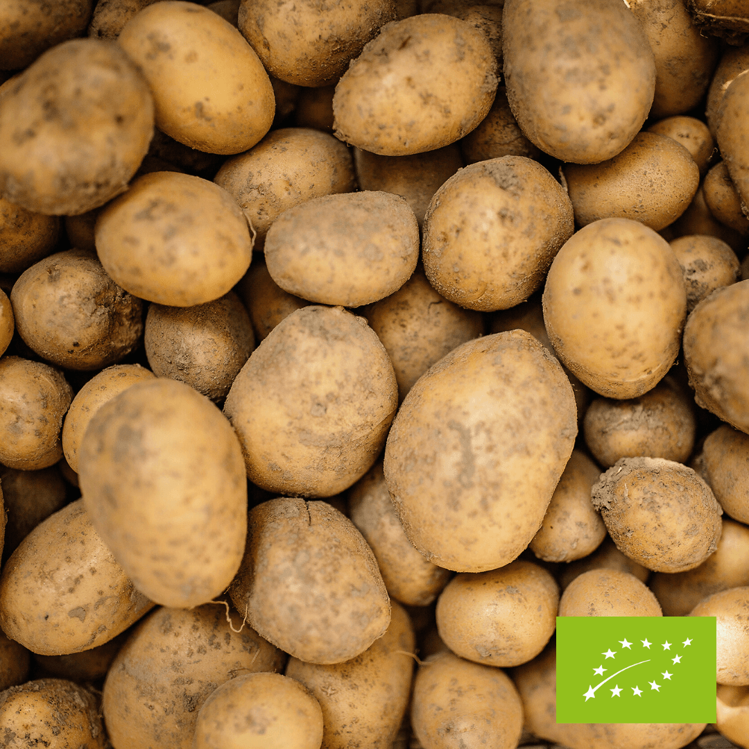 Ziemniaki żółte EKO 1 kg